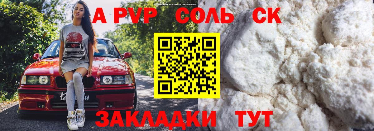 Альфа ПВП СК Дальнегорск
