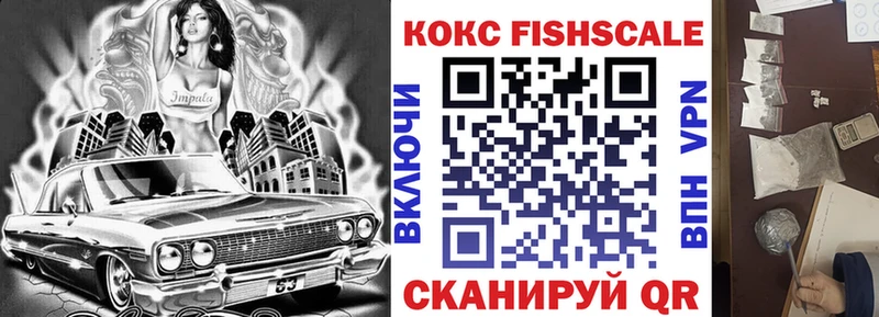 Cocaine Fish Scale  блэк спрут как зайти  Дальнегорск 