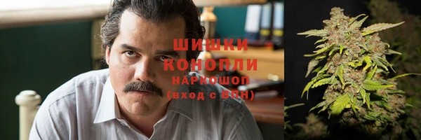 шишки Армянск