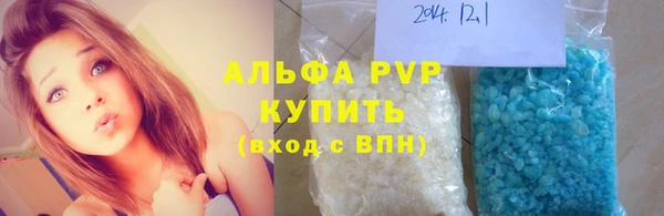 шишки Белоозёрский