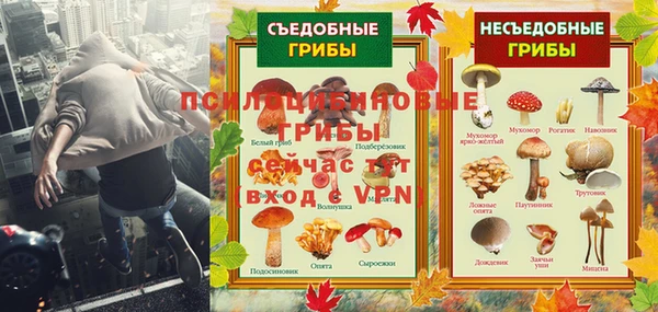 амф Белокуриха