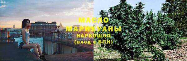 шишки Белоозёрский