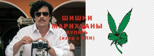 шишки Белоозёрский